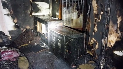 경북 청송 국가민속문화재 고택에서 불...다친 사람 없어 / YTN