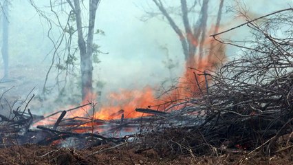 Septiembre de fuego para la Amazonía brasileña