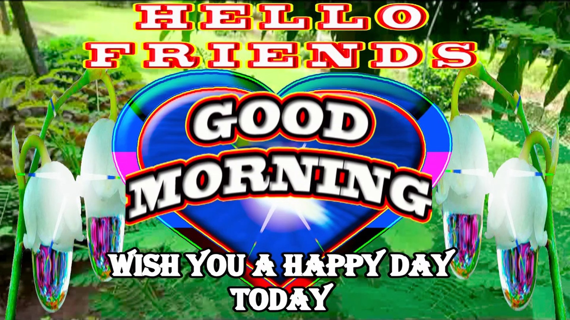 Hello Friend Good Morning