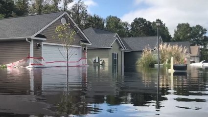 What everyone should know about flood insurance