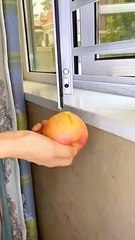 New Gadgets & Versatile Utensils For Home Appliances, Make-Up, Smart Inventions Smart Appliance