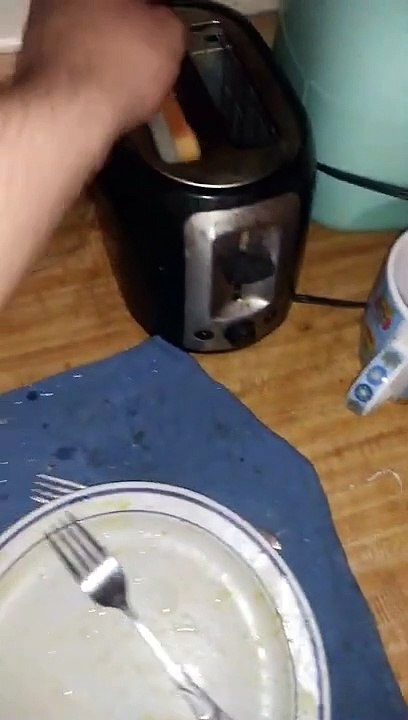 Pablo Tries To Toast Sum Bread Out Here