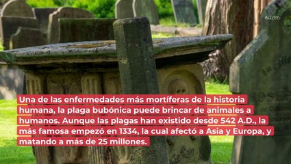 Contagios masivos en Gran Bretaña: así lidió la familia real con la peste y plaga bubónica