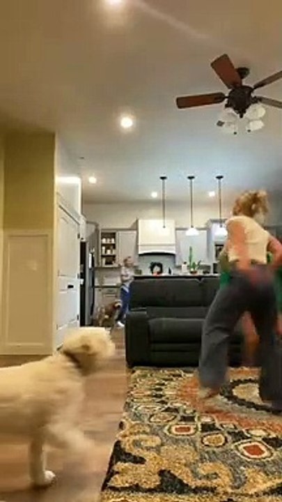 _ _viral _punjabimemes _viralinstagram_instagramers _instagram_punjabireels _viralinstagramreels _viralatinhasdoinstagram _reelspunjabi _viralatainstagram _reelsinstagram❤️----------