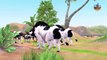 Giant bulls vs Lion   Cartoon Cow Sad Story   The Battle Protects The Cow Family