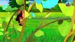 Giant Gorilla Vs Funny monkey Vs Giant Lion Escape From Pc Maze Game   Monkey Collecting Watermelons