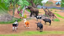 Cow Cartoon, Giant Bulls vs Zombie Dinosaur Animal Fight   Cows Transformation into Giant Bulls