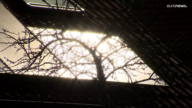 Импортозамещение по-бельгийски: энергия Солнца вместо газа