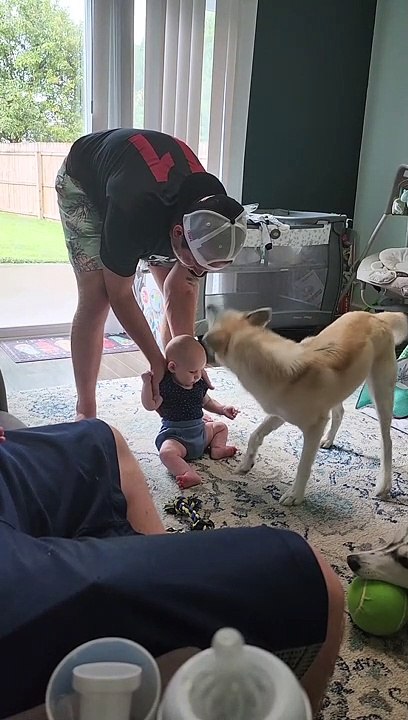 Blind Husky Loves Baby