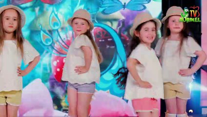 Lollipops - Grădinița cu Povești