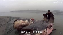Are you afraid to catch this fish?