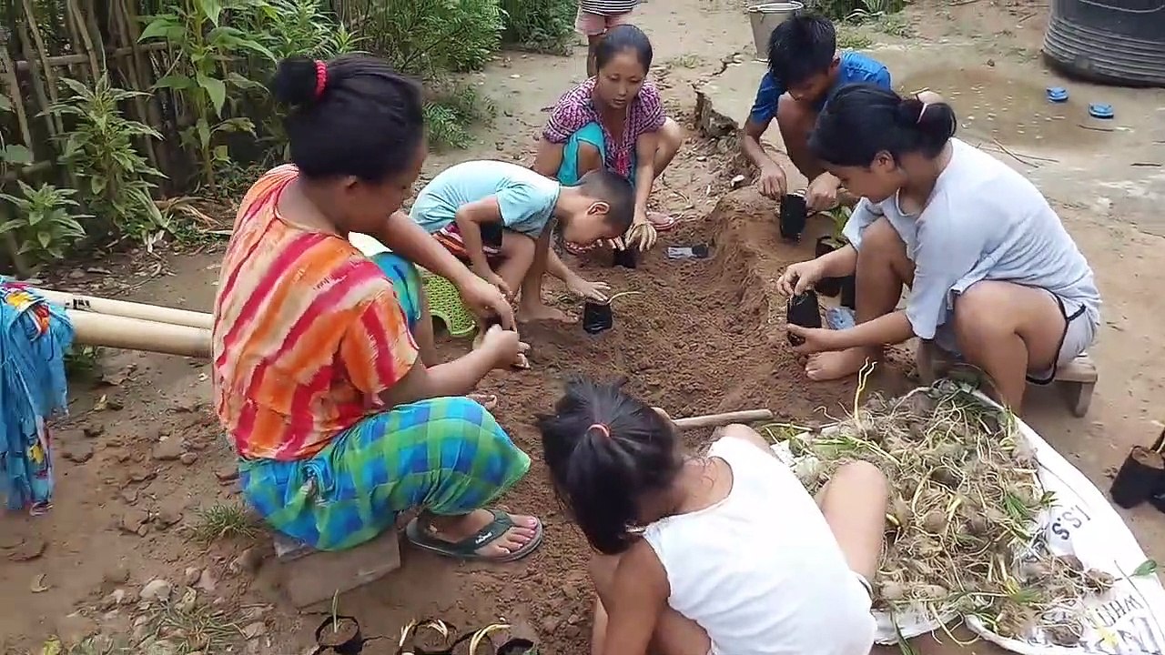 BETELNUT NURSERY