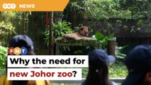 Veterinarian, environmentalist challenge need for new Johor zoo