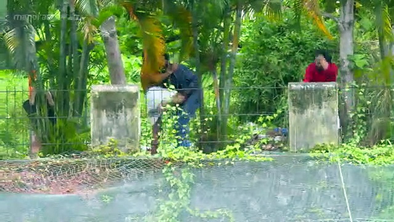 Tmpp00 Sep 09