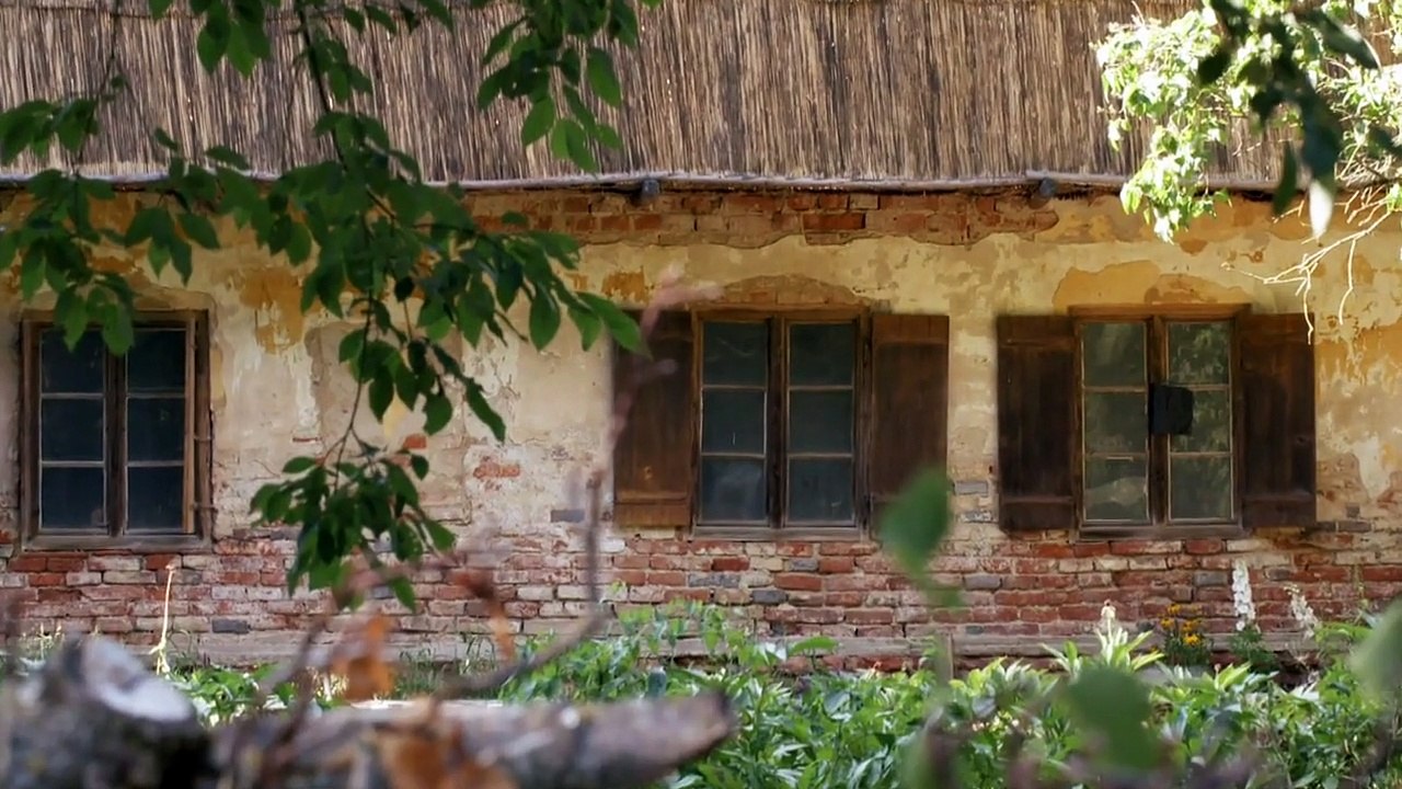 Fluch des Falken Staffel 4 Folge 43 HD Deutsch