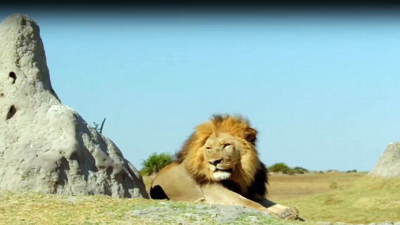 Okawango - fluss der träume staffel 1 folge 3 hd deutsch