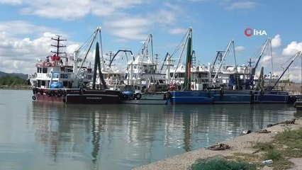 Palamut, balıkçıların yüzünü güldürdü