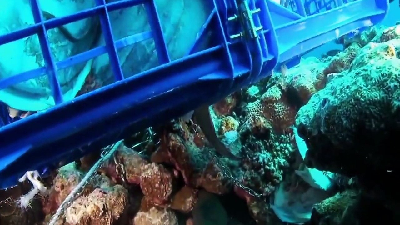 Australia's Most Dangerous Staffel 1 Folge 5 HD Deutsch