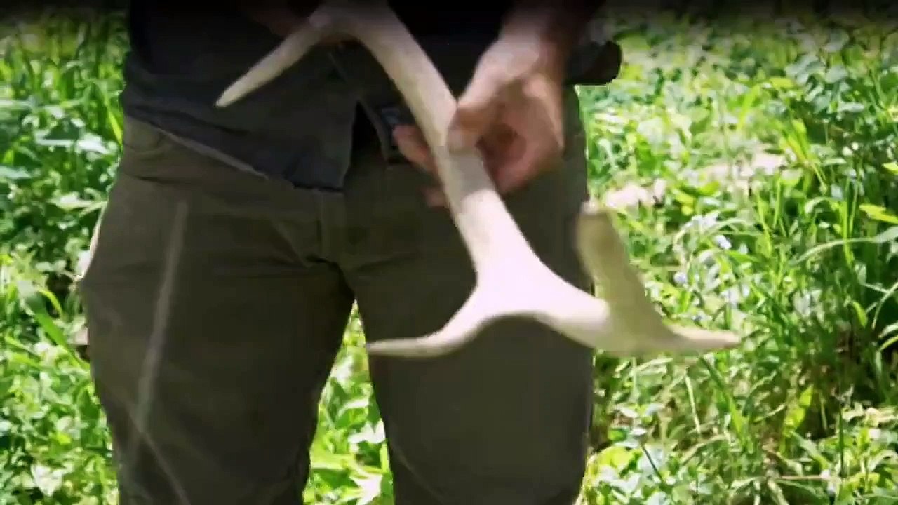 Bushcraft Masters - Die Wildnis-Challenge Staffel 1 Folge 1 HD Deutsch