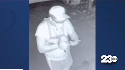 Vandalism suspect sought in Delano