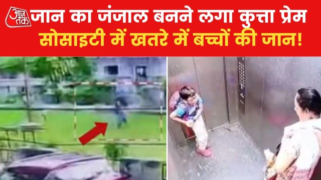 VIDEO: Dog attacks increased in Noida and Ghaziabad