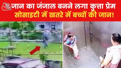 VIDEO: Dog attacks increased in Noida and Ghaziabad