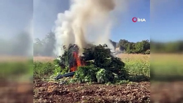 Terör örgütü PKK'nın finans kaynaklarına darbe
