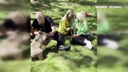 Nuri Alço'dan yavru ayıya gazoz