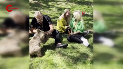 Nuri Alço yavru ayıya gazoz içirdi: 'Ağzının tadını biliyor'