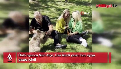 Nuri Alço'dan yavru ayıya gazoz!