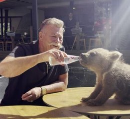 Nuri Alço'dan yavru ayıya gazoz