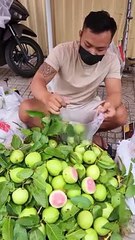 Extreme Level Pink Guava Selling In Ho Chi Minh   Pink Guava of Vietnam #shorts