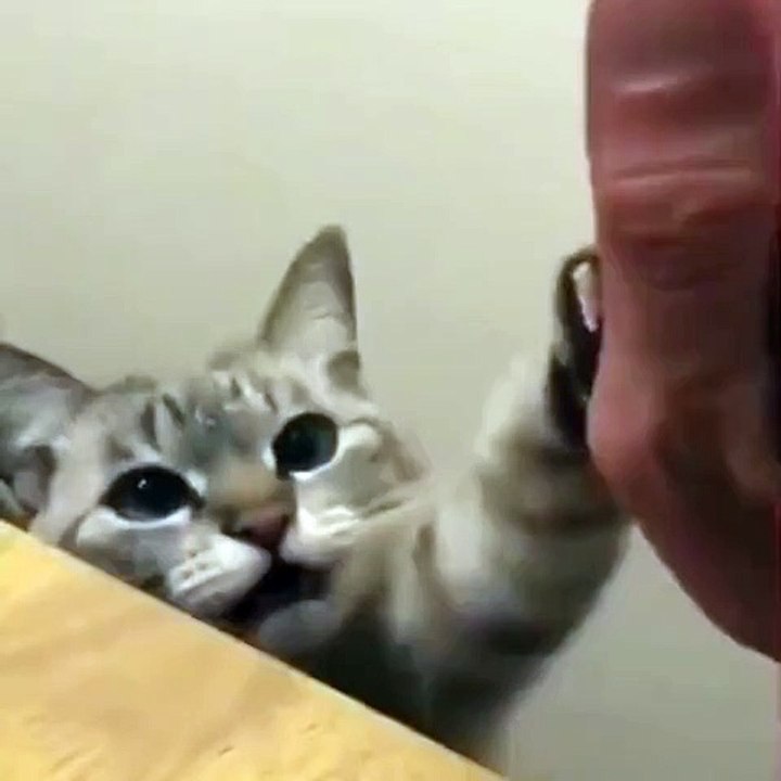 GIVE ME FIVE