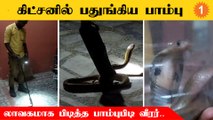 Snake Caught | வீட்டில் புகுந்த நல்ல பாம்பு.. பத்திரமாக மீட்ட பாம்புபிடி வீரர்