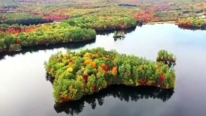 Waiting Rabindranath Tagore | Piyali Ghosh