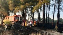 Muğla’da orman yangınına sebep olanlar yakalandı