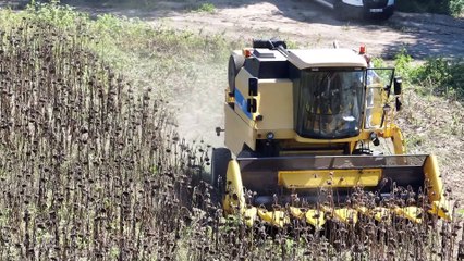 Mudanya Belediyesi'nden topraktan halka ayçiçek yağı