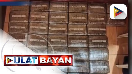 P6.2-M halaga ng hinihinalang marijuana, nasabat ng Caloocan City Police