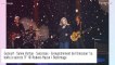 Sylvie Vartan confrontée à un concert "apocalyptique" : dépitée, elle partage des images impressionnantes !