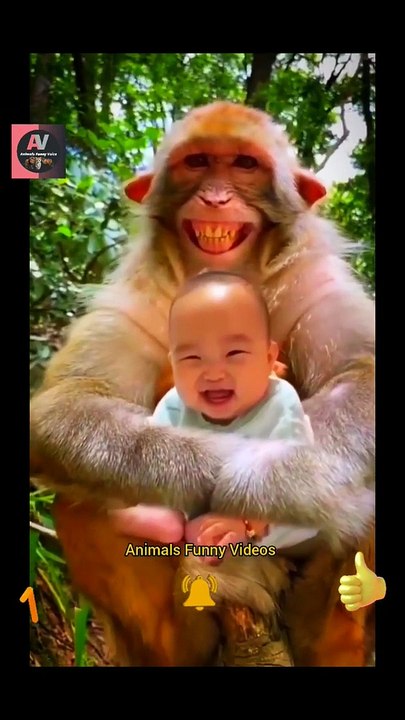 Cute Baby and Monkeys Good Smiled Videos 2022 #animals  #funny