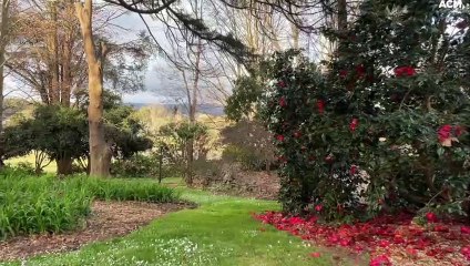 Discover the gardens and woodlands in Moidart, Burradoo - Wednesday, September 7, 2022 - Southern Highland News