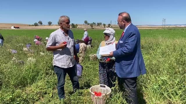 Üreticiden, Domates ve Salça İhracatına Kayıt Değişikliği Tepkisi: Bu Yıl Para Kazanacağız Diye Beklerken Fiyat Düştü