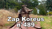 Zap Koreus n°489