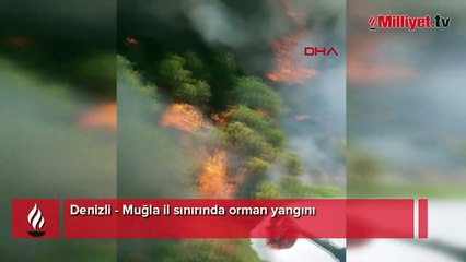 Denizli - Muğla il sınırında orman yangını