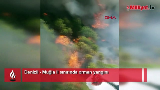 Denizli - Muğla il sınırında orman yangını
