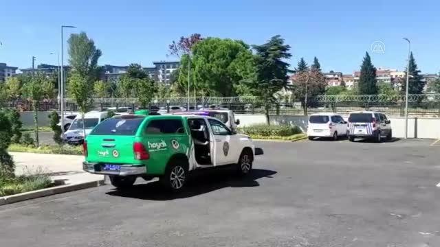 Son dakika haber! Zeytinburnu'nda kediyi öldüren pitbull cinsi köpeğin sahibine para cezası kesildi