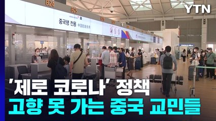 고향 못 가는 中 교민들...'제로 코로나' 언제 풀릴까? / YTN