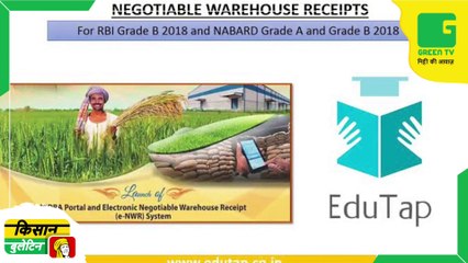 कृषि वैज्ञानिकों ने विकसित की जई की दो नई किस्में, पशुपालकों व किसानों दोनो को मिलेगा लाभ Agri News