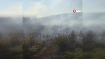 Son dakika haber | Mersin'de orman yangınına müdahale ediliyor