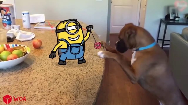 How Cute Little Kitten vs Minions Animation Minions in Real Life Funniest Cats And Dogs Videos